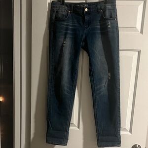 Eva Mendes Stylish Blue Women's Jeans